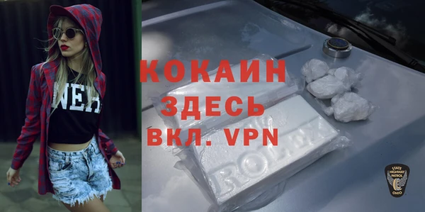 прущий лед Алзамай