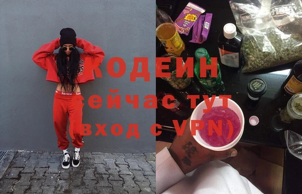 прущий лед Алзамай