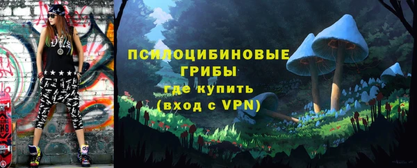 сатива Алексеевка