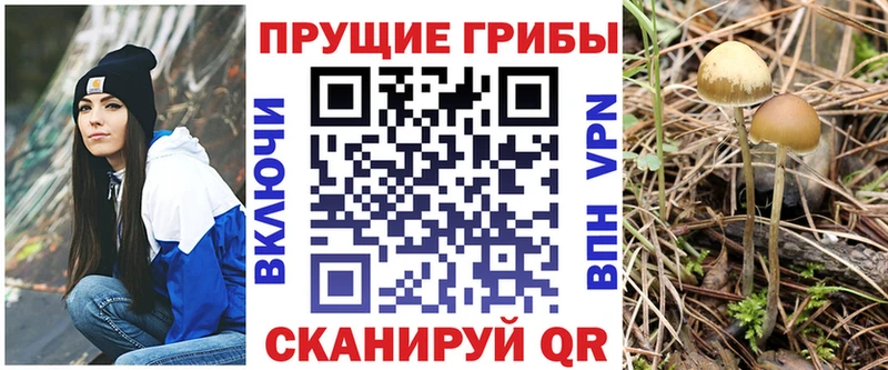 MEGA ссылка  Апрелевка  Галлюциногенные грибы GOLDEN TEACHER 