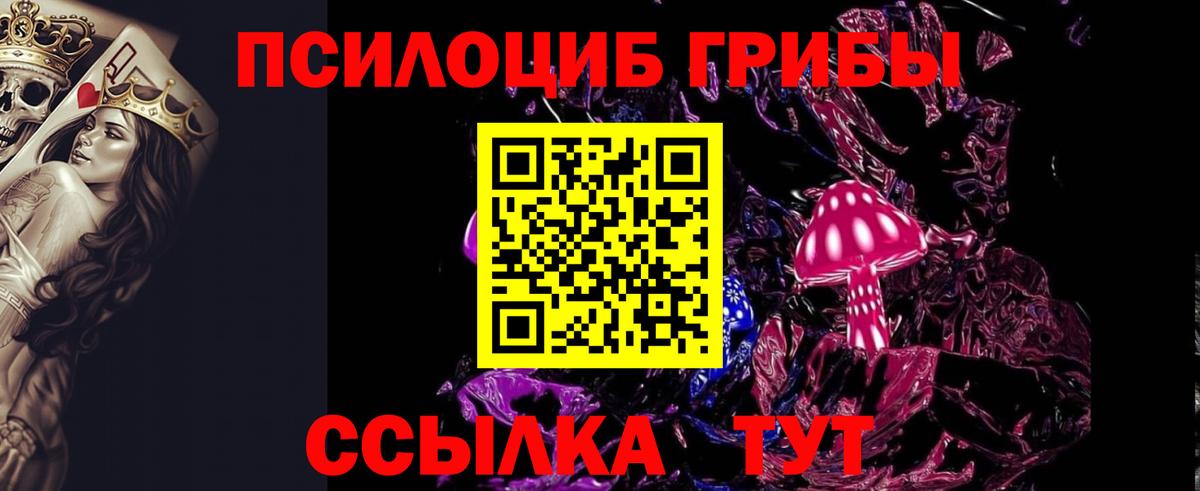 Псилоцибиновые грибы GOLDEN TEACHER  Галлюциногенные грибы Cubensis  Вход с VPN  Апрелевка 