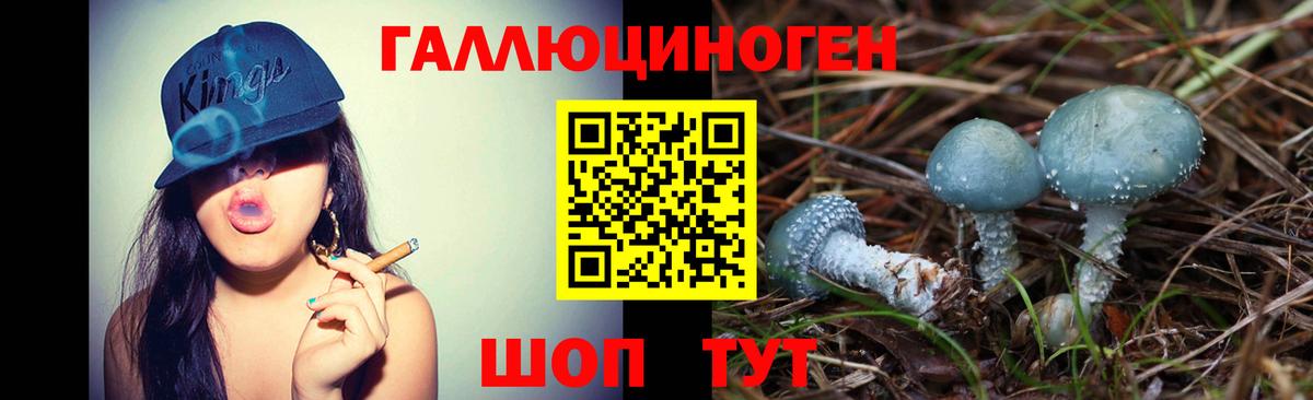 Псилоцибиновые грибы Psilocybe Апрелевка