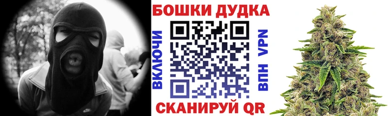 где купить наркоту  Апрелевка  Каннабис сатива 